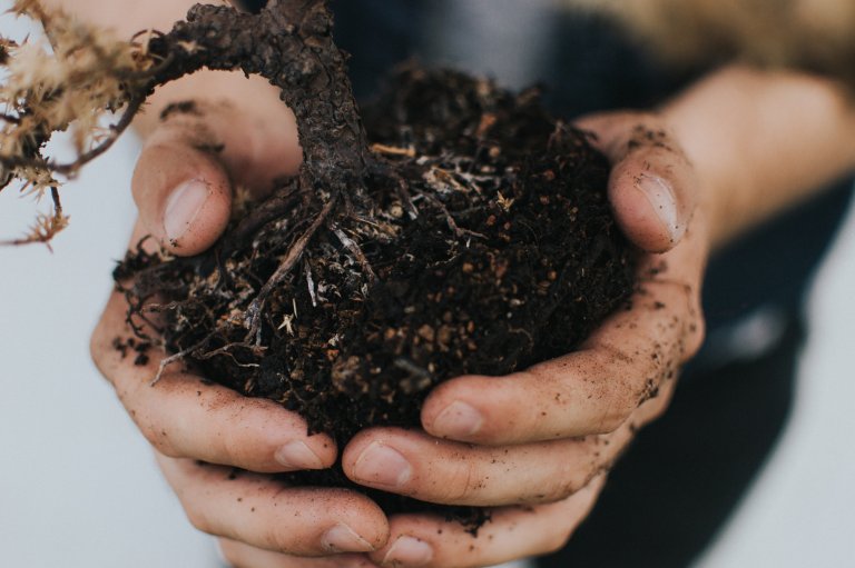 The Magic of Wormless Composting for a Zero Waste Kitchen
