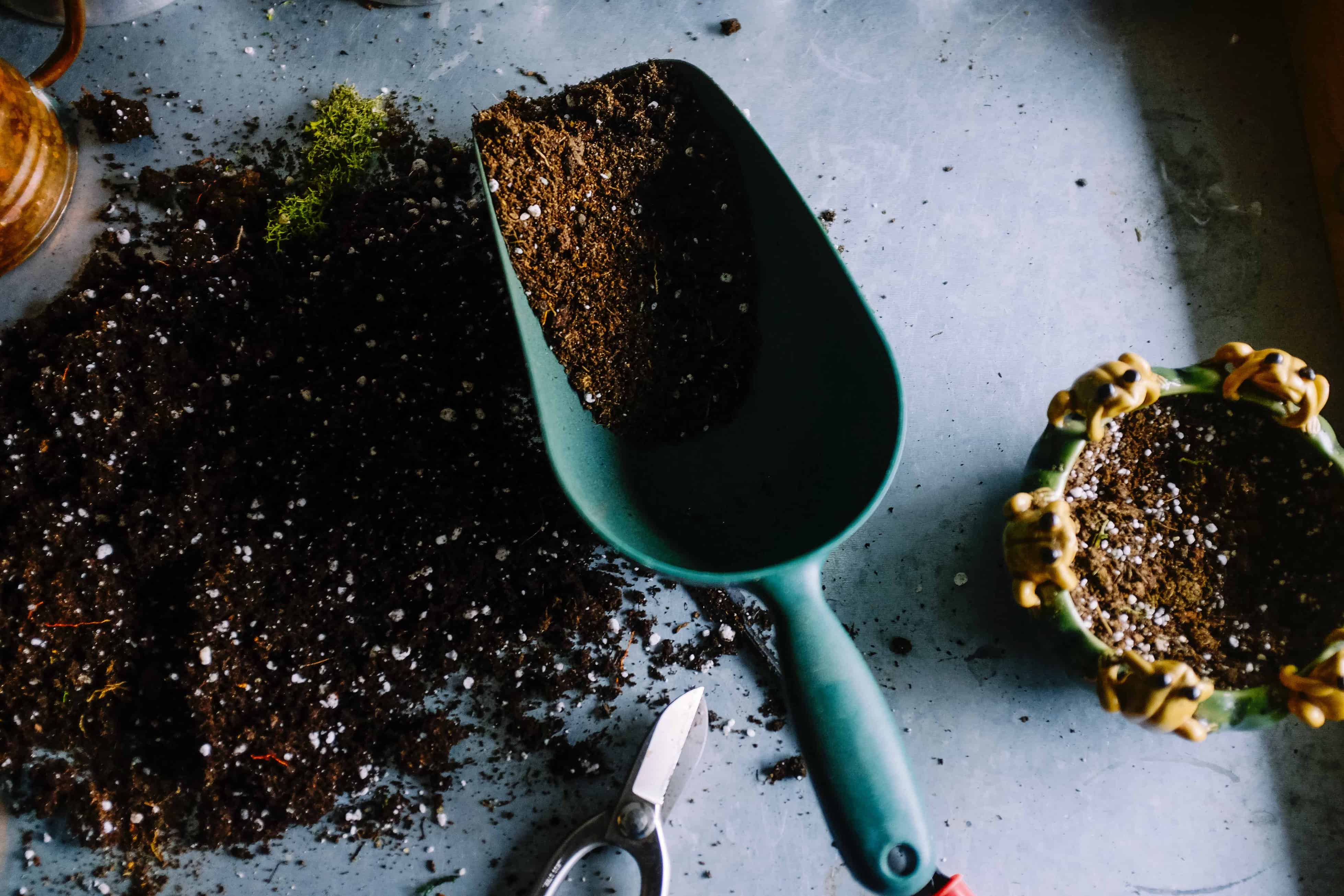 How to Make Your Own Apartment Compost
