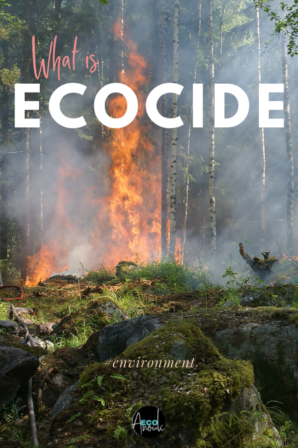 Should Ecocide be Recognized as an International Crime?