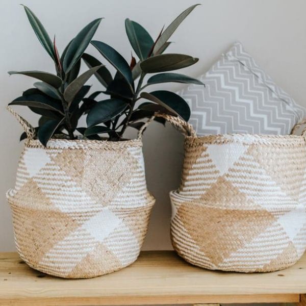 baskets as planters
