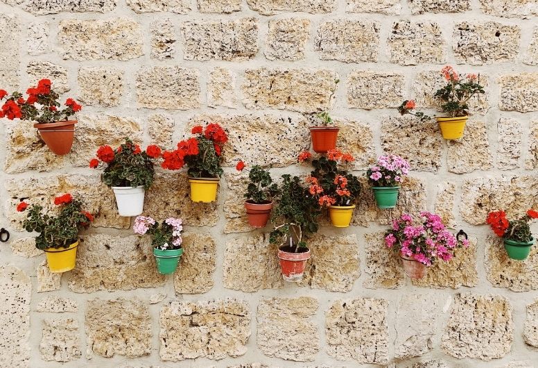 set up your vertical flower garden on a wall