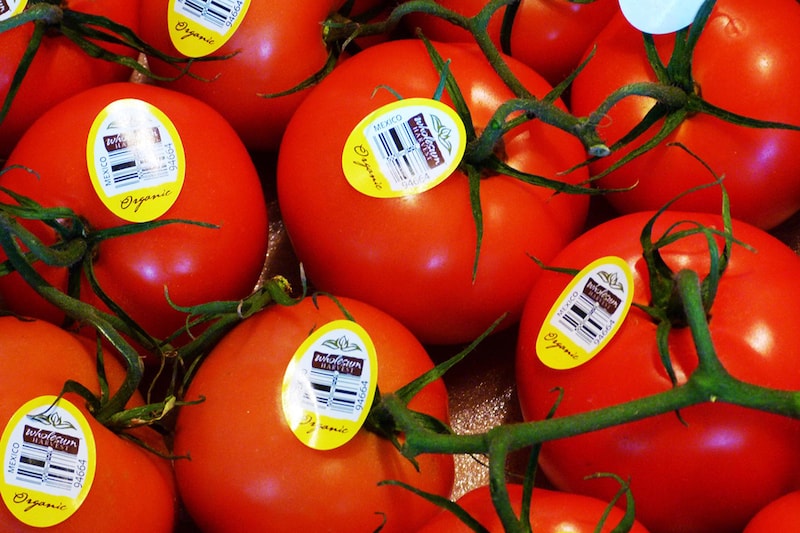 organic produce - Tomatoes are among the vegetables that tend to harbor a larger amount of chemicals