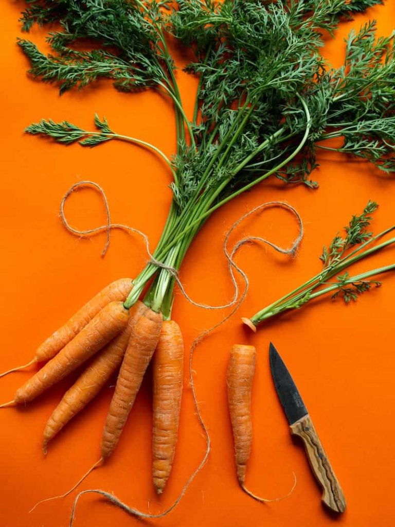 Fresh carrots from the garden
