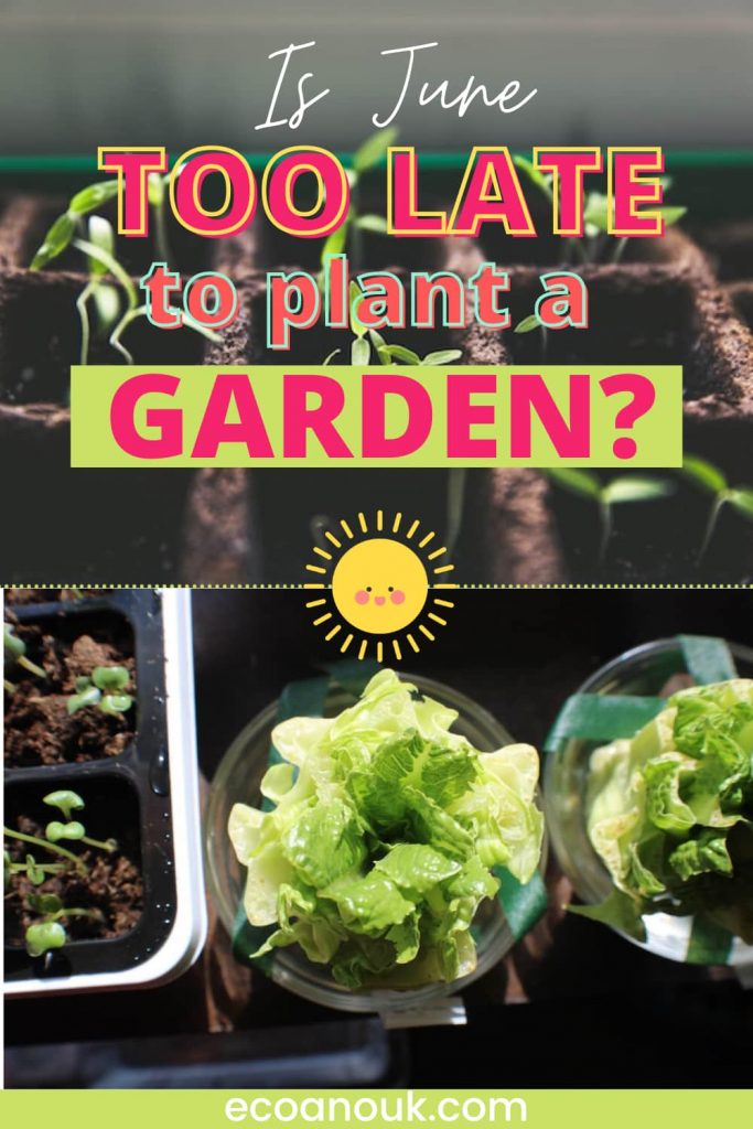 Is June too late to plant a garden?