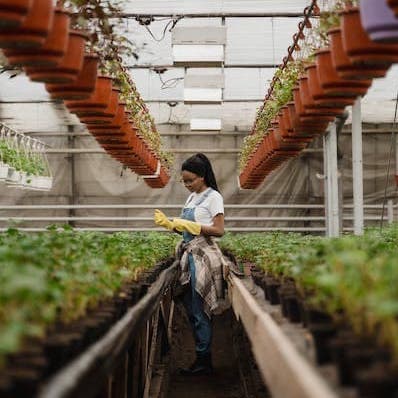 woman designing plants in a sustainable system