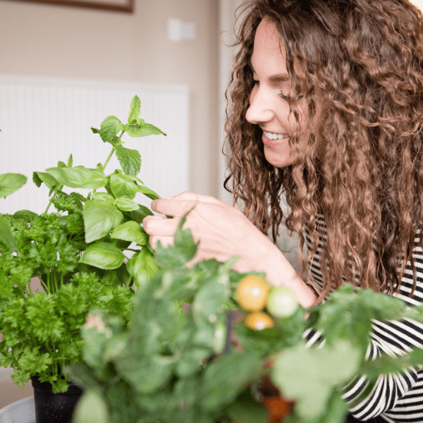 The Importance Of Indoor Plants for Mental Health