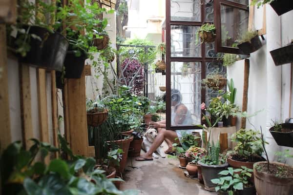 woman and her Labrador dog surrounded by houseplants