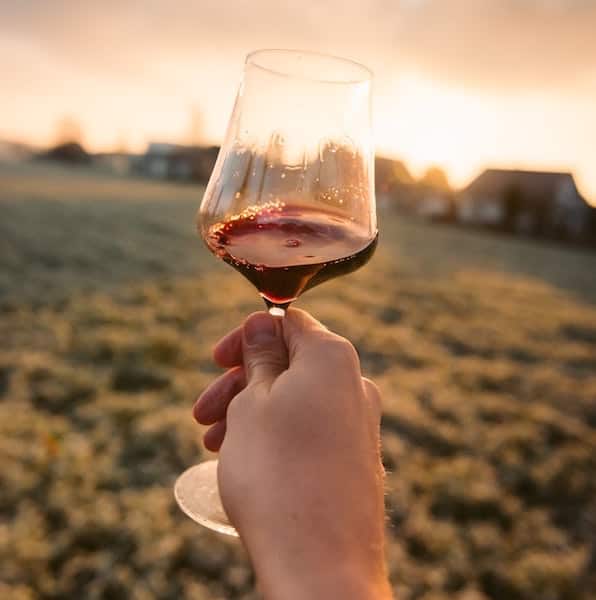 woman holding up a red wine glass toward the setting sun