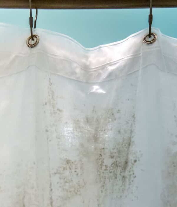 dirty shower curtain for recycling