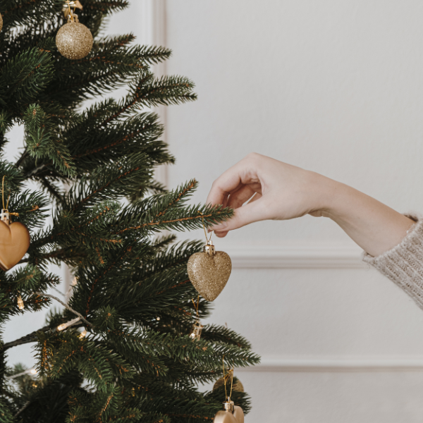 Brilliant Eco Friendly Christmas Tree Ideas You Will Love