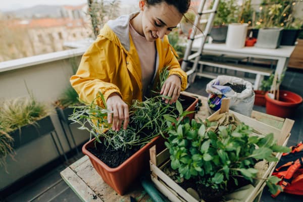 woman growing plants in her balcony